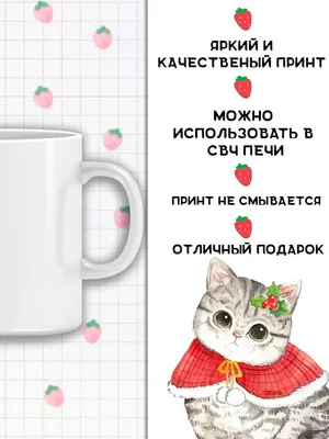 Кошку можно тискать только по ее желанию?#кот #питомец #вислоухий #кот... |  TikTok