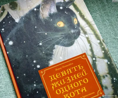 Бенто торты с надписью на заказ в Москве с доставкой на дом по недорогой  цене