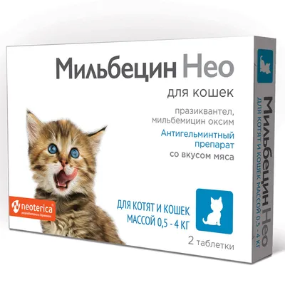 Корм для кошек Whiskas желе с говядиной и ягненком 75г купить по цене 24.7  ₽ с доставкой в Москве и России, отзывы, фото