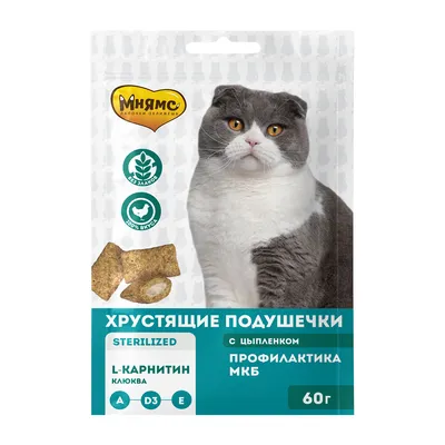 Мильбецин Нео для котят и кошек 0,5 - 4 кг упаковка, 2 таб купить по низкой  цене с доставкой - БиоСтайл