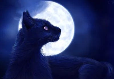 Картинка Кошки Луна Ночь Животные Рисованные