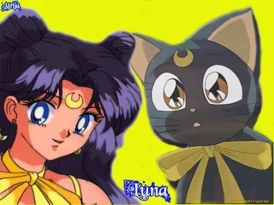 Обои Кошка Луна Аниме Sailor Moon, обои для рабочего стола, фотографии кошка,  луна, аниме, sailor, moon Обои для рабочего стола, скачать обои картинки  заставки на рабочий стол.