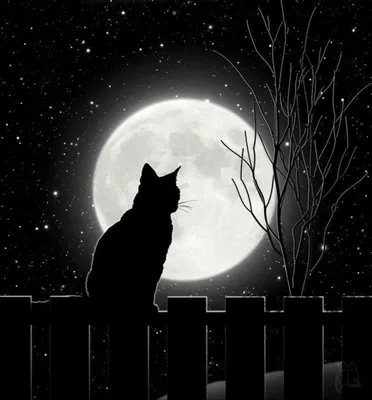 Кошка Луна» — создано в Шедевруме