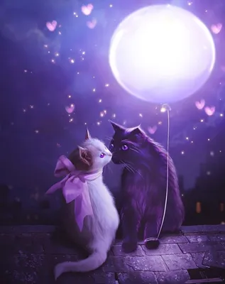 Кошка и луна 3d иллюзия ночник » maket.LaserBiz.ru - Макеты для лазерной  резки