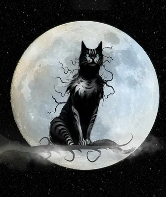 Кошка Луна Хэллоуин - Бесплатное изображение на Pixabay - Pixabay