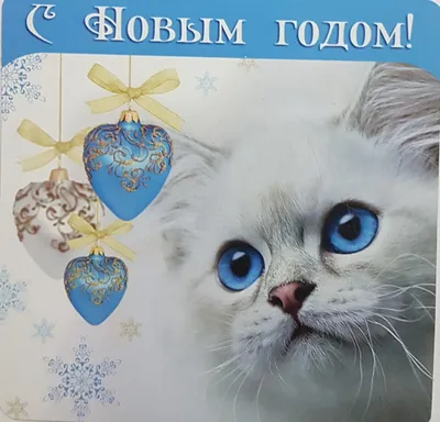 Гамак настенный, с прозрачной лежанкой для кошек «Тоумей» купить с  доставкой в Москве и по всей России
