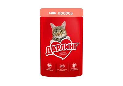 Чем кормить двухмесячного котенка