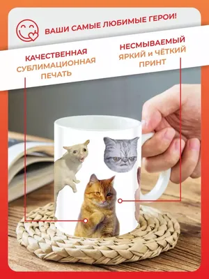 Кружка в подарок рисунок кот, кошка, котик мем приколы FAN-BOX 145079819  купить за 369 ₽ в интернет-магазине Wildberries