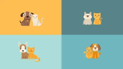 Дружба кошек и собак | Пикабу