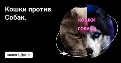 Кошки против собак сборник игр 20в1 сборник игр PC DVD лицензионная марка  Украины (ID#1226123230), цена: 50 ₴, купить на Prom.ua