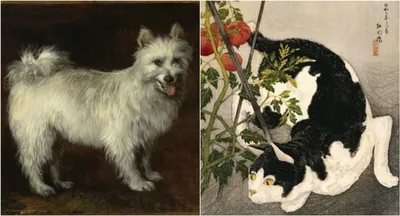 Кошки против Собак | Фома Перов | Дзен