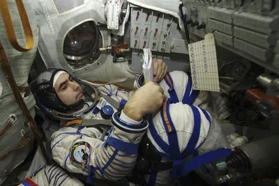 Раскрыт размер пенсий и зарплат российских космонавтов - Мослента