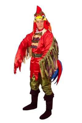 Купить карнавальный костюм \"петух яркий\" к 28 по цене 6 500 ₽ в Москве