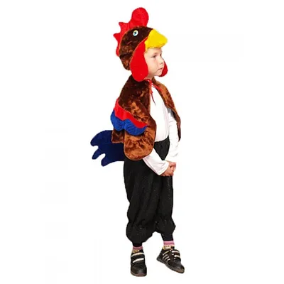 Костюм Петуха. Детский карнавальный костюм.
