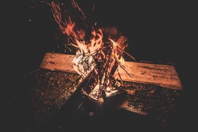 Огненное пламя костра в зимнем лесу на фоне заснеженных елок Stock Photo |  Adobe Stock