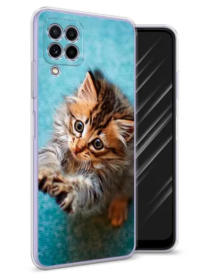 Забавный котенок кошка мобильный телефон чехол для Xiaomi Redmi Note 8 7 6  5A 4 Pro Redmi 7 7A K20 6 6A 5A 4A 4X 5 Plus S2 | AliExpress