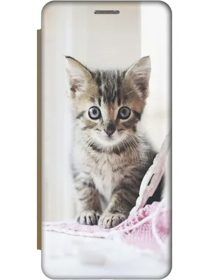 3d стикеры на телефон котята cutecase.llc 149019195 купить за 223 ₽ в  интернет-магазине Wildberries