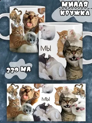 Книга Азбука Три кота с крупными буквами 32 стр 9785506029984 Умка купить в  Новосибирске - интернет магазин Rich Family