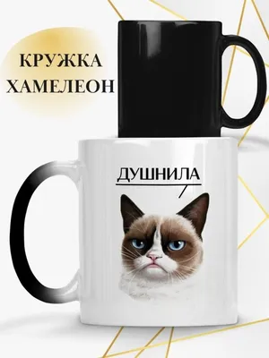 Кружка \"кот кошка котик мем фак ъуъ надпись душнила\", 330 мл - купить по  доступным ценам в интернет-магазине OZON (660669093)