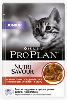 Сухой корм для котят Proхвост с цыпленком, 350г - Корма для собак