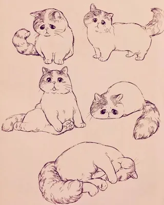 Картинки, рисунки милых котиков для срисовки | Art sketchbook, Animal  drawings, Cute animal drawings