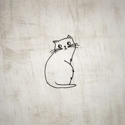 Лёгкий рисунок котика для срисовки - 92 фото