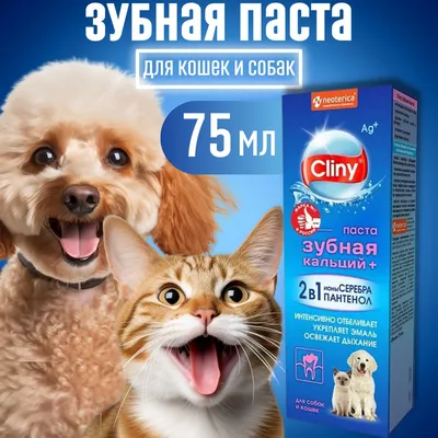 Таблетки для кошек и собак Inspector Quadro Tabs 2-8кг купить по цене 853 ₽  с доставкой в Москве и России, отзывы, фото