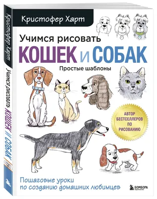 В Перми пройдет выставка котиков и собак из приютов | НОВОСТИ ПЕРМИ | МОЙ  ГОРОД - ПЕРМЬ! — Новости Перми