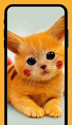 КотоФото - Милашные котики в картинках | Анекдоты , картинки - для поднятия  настроения | Дзен