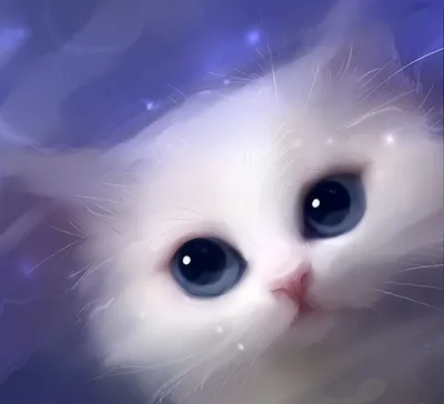 Cute Stare At Cat Animal iPhone 6 Wallpaper Download | iPhone Wallpapers,  iPad wallpapers One-stop Download | Cute kittens, Kedi, Sevimli kediler