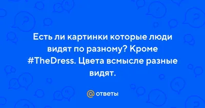 Как видят мир разные живые существа?