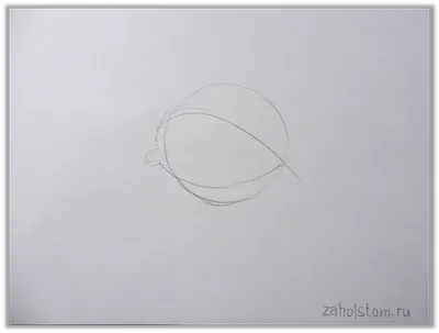 Как научиться красиво рисовать с нуля