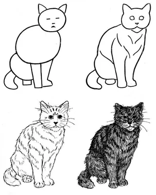 Фотки Нарисованных Котиков (53 Фото)