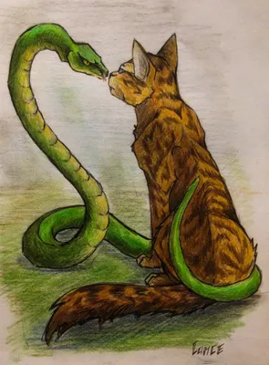 Иллюстрация рисунок кота для срисовки | Illustrators.ru