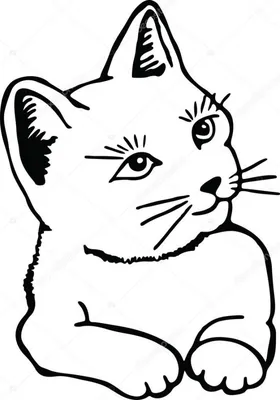 Картинки котов воителей для срисовки (29 лучших фото)