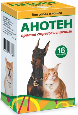 Селафорт для котов и собак весом до 2.5 кг - купить в Киеве и Украине, цены  на в зоомагазине зоотоваров - zoo-club.com.ua