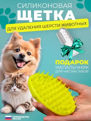 Азинокс для кошек и собак, 6 таблеток – купить в Воронеже по цене  интернет-магазина «Две собаки»