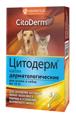 Сколько собак и кошек можно держать дома, определили в Новосибирской  области | Ветеринария и жизнь