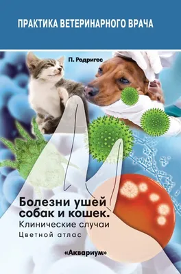 Неодиар от диареи для кошек и собак 10 таб. (ЛИЦЕНЗИЯ), купить оптом в  Москве, цена, характеристики, описание - Симбио-Урал - ЗооЛэнд