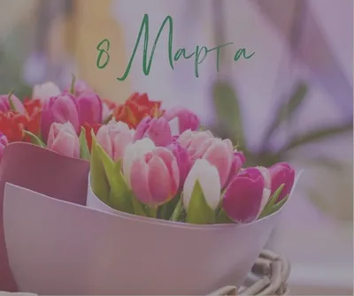 Кому какие цветы подарить на 8 марта - советы от «Букет лета».