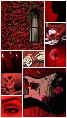 Красная Эстетика/эстетика красного цвета | Красные цветы, Эстетика, Стиль