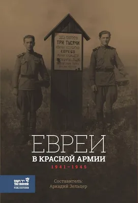 Война после войны: взяв Берлин, Красной армии пришлось продолжить бои |  Статьи | Известия