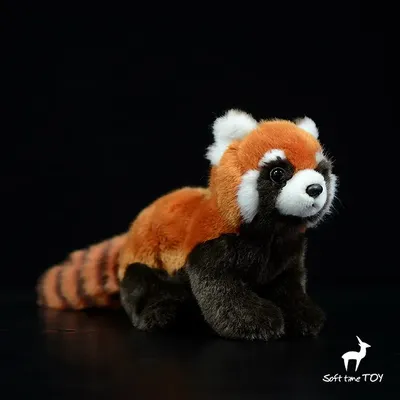 Красная панда или огненная лиса