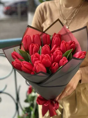 Красные тюльпаны Москва