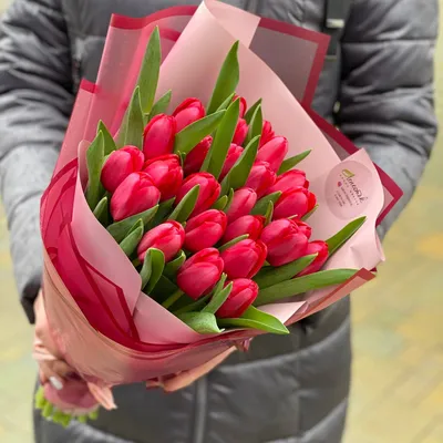 Красные Тюльпаны Яркие - Бесплатное фото на Pixabay - Pixabay