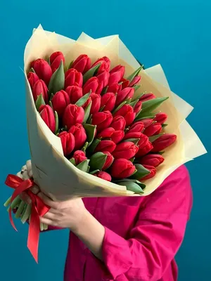красные тюльпаны стоковое фото. изображение насчитывающей отрезок - 22809256