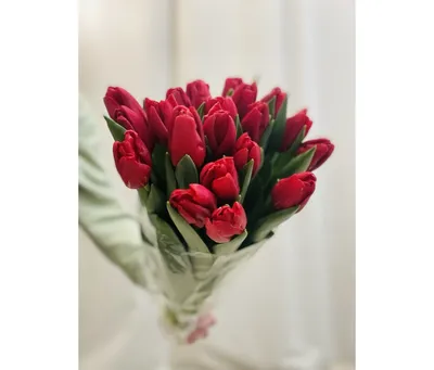 Красные тюльпаны по цене 188 ₽ - купить в RoseMarkt с доставкой по  Санкт-Петербургу