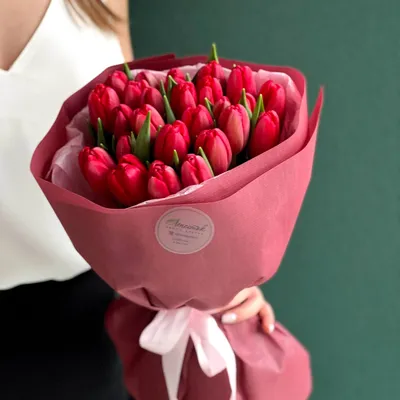 красные тюльпаны 2 стоковое фото. изображение насчитывающей влюбленность -  8566768