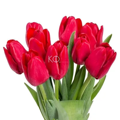 Корпоративный букет красные тюльпаны | доставка по Москве и области