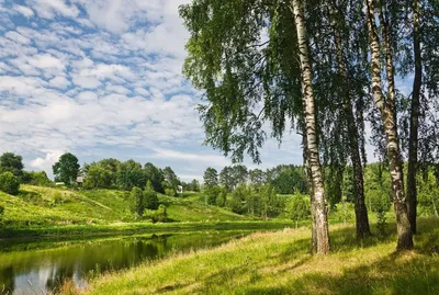 Родной край картинки - 78 фото